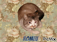 Romeu - GIF animé gratuit