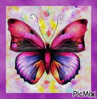papillon GIF animado
