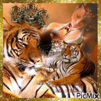 Tigres GIF animado