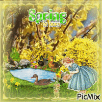 Frühling printemps spring animowany gif