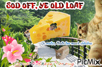 Greetings from Cheeseborough Animiertes GIF