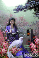 Chinese Lady - Zdarma animovaný GIF