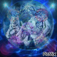 Tigre анимированный гифка
