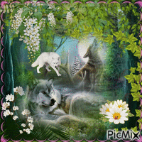 loup en forêt - Darmowy animowany GIF