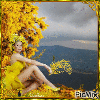 Les mimosas - GIF animasi gratis