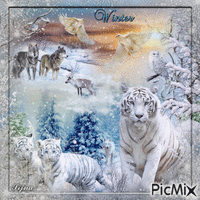 Wildlife in a winter environment - GIF animé gratuit