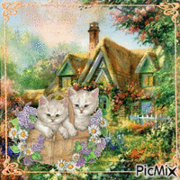 Cottage Kittens - GIF animé gratuit
