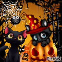 Halloween Kürbiskatzen - Безплатен анимиран GIF