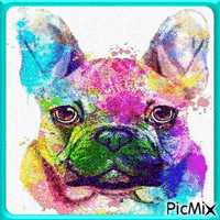 French bulldog in watercolors - GIF animado gratis