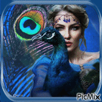 turquoise peacock2 - GIF animado grátis