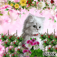 il gatto dei fiori