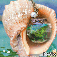 seashell - Безплатен анимиран GIF