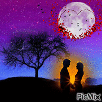 noche de amor - Ingyenes animált GIF