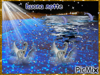 b. notte - Darmowy animowany GIF