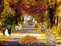 automne - Zdarma animovaný GIF