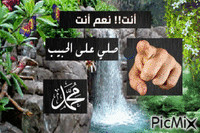 صلي علي الحبيب - GIF animé gratuit