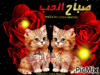 صباح الورد animasyonlu GIF