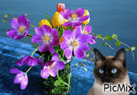 flori - GIF animado gratis