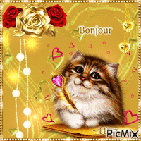 BONJOUR LES CHATONS Animated GIF