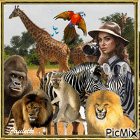 safari photo GIF animé