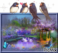 Morning Birds - Бесплатный анимированный гифка