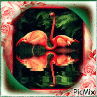 Flamant Rose анимиран GIF