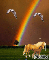 Regenboog vogels en paarden animovaný GIF