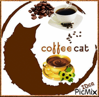 Café du chat - Безплатен анимиран GIF