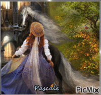 jeune fille et son cheval Animated GIF
