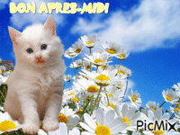 Bon après-midi - printemps 1 - Безплатен анимиран GIF