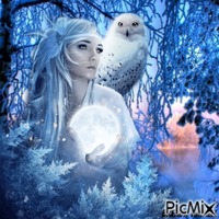 winter owl анимиран GIF