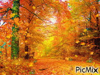 Autumn - Ücretsiz animasyonlu GIF