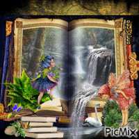 Fantasy book