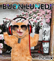 BUON LUNEDI' - Gratis animerad GIF