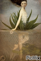 Sirena de río animált GIF