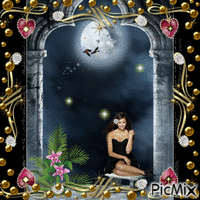 lady in the moonlight - GIF animé gratuit