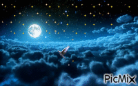 Starry night - GIF เคลื่อนไหวฟรี