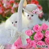 Fleurs et deux chats - png ฟรี