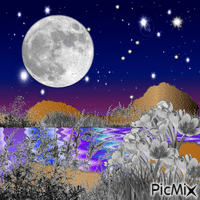 Moon night orion star - GIF animado grátis