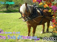 Les chevaux de trait du bois d'Ouranos - GIF animado grátis