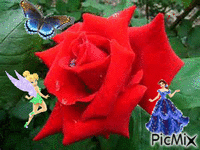 rose - Animovaný GIF zadarmo