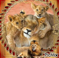 L'amour maternel animal - GIF animé gratuit