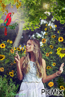 Sunflower GIF animado