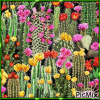 Cactus Art - GIF เคลื่อนไหวฟรี