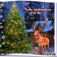 Weihnachtsbaum draußen - 無料のアニメーション GIF