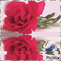 rose geanimeerde GIF