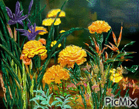 kvety GIF animé