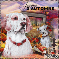 Automne Chien animowany gif