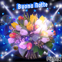 Buona Notte - Diamante blu - Bezmaksas animēts GIF