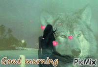 WolfLove - Free animated GIF